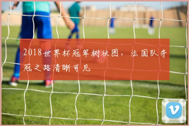 2018世界杯冠军树状图，法国队夺冠之路清晰可见