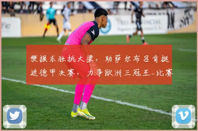 樊振东独挑大梁，助萨尔布吕肯挺进德甲决赛，力争欧洲三冠王_比赛_赛季_关键