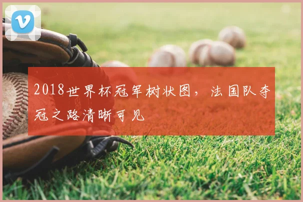 2018世界杯冠军树状图，法国队夺冠之路清晰可见