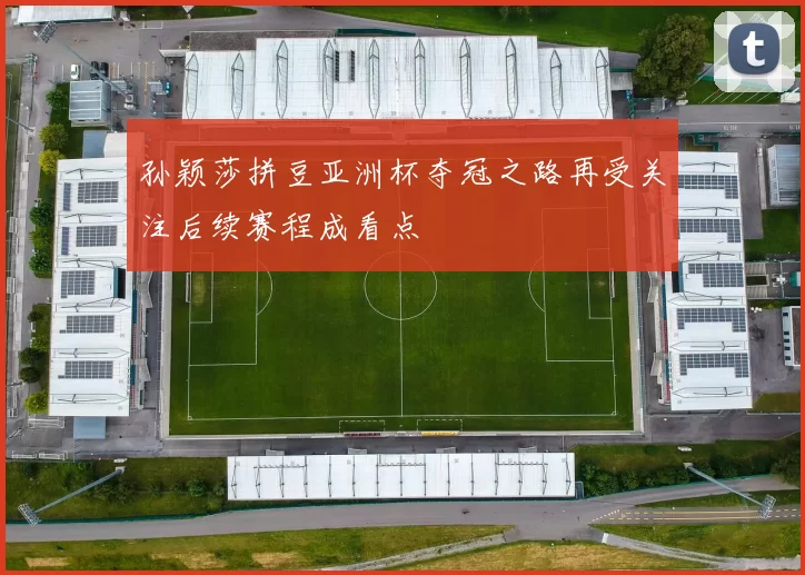 孙颖莎拼豆亚洲杯夺冠之路再受关注后续赛程成看点