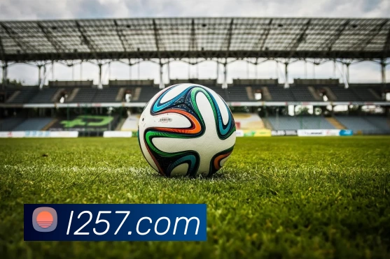 米兰app登陆入口服务体系